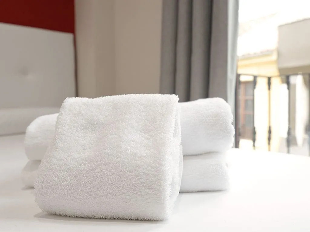 Apartamentos Mesones 18 3000 Granada Spanien